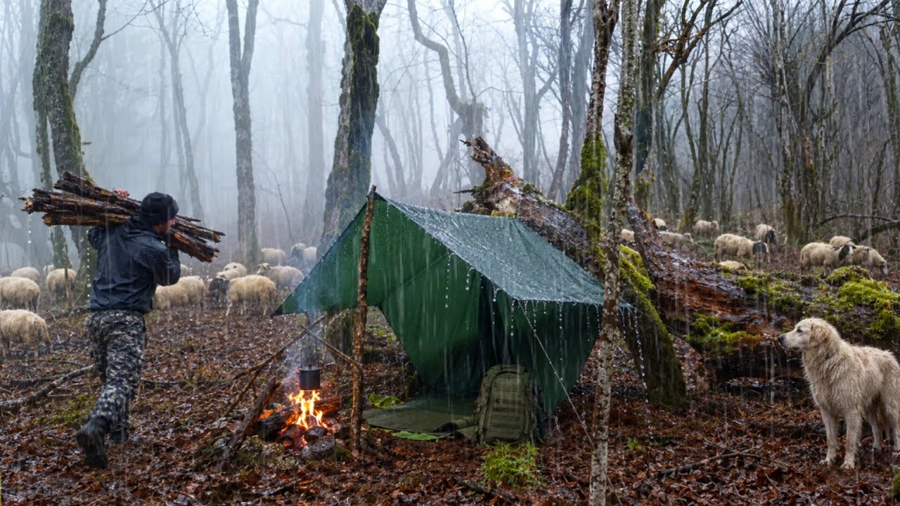 Rain Camping with Only a Tarp | Cozy Shelter in Rain and Heavy Fog