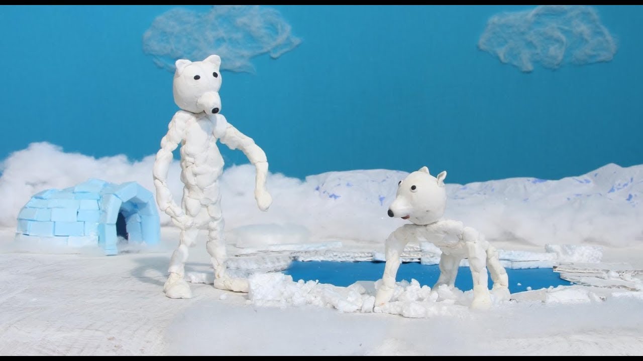 Petit Ours Blanc