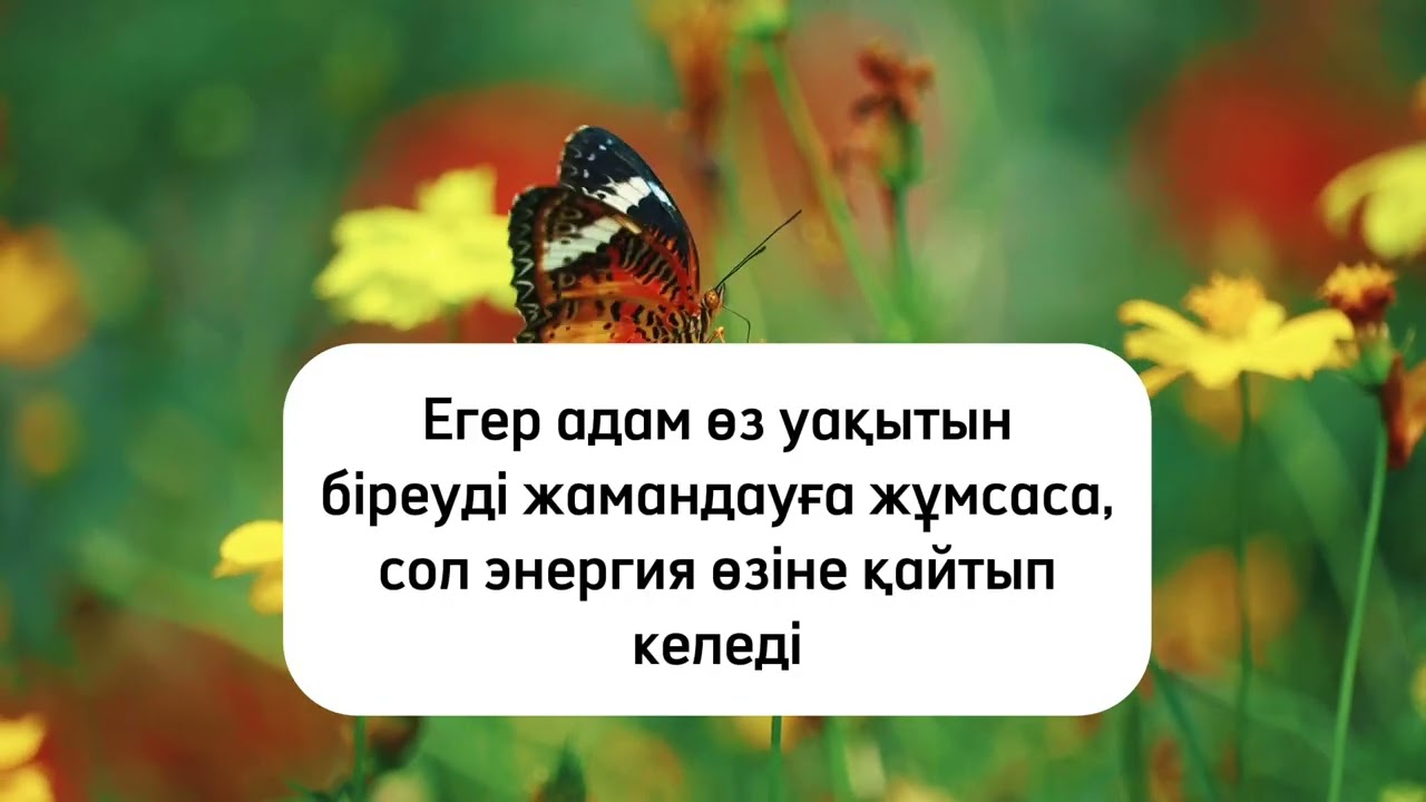 Бумеранг заңы