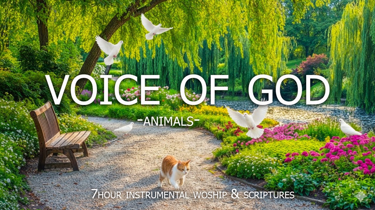 VOICE OF GOD - Powerful Prayer Music to Overcome Anxiety, Quiet Time with God