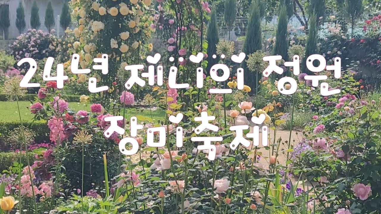 24년 제니의 정원 장미 축제 ㅣ아름다운 장미정원으로 초대합니다
