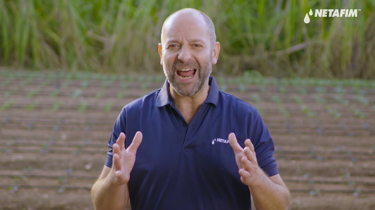 AgroBites: Irrigate During Germination | Netafim