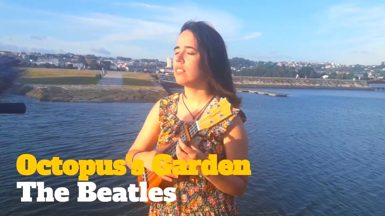Octopus's Garden 🐙 The Beatles 🌼 Cover