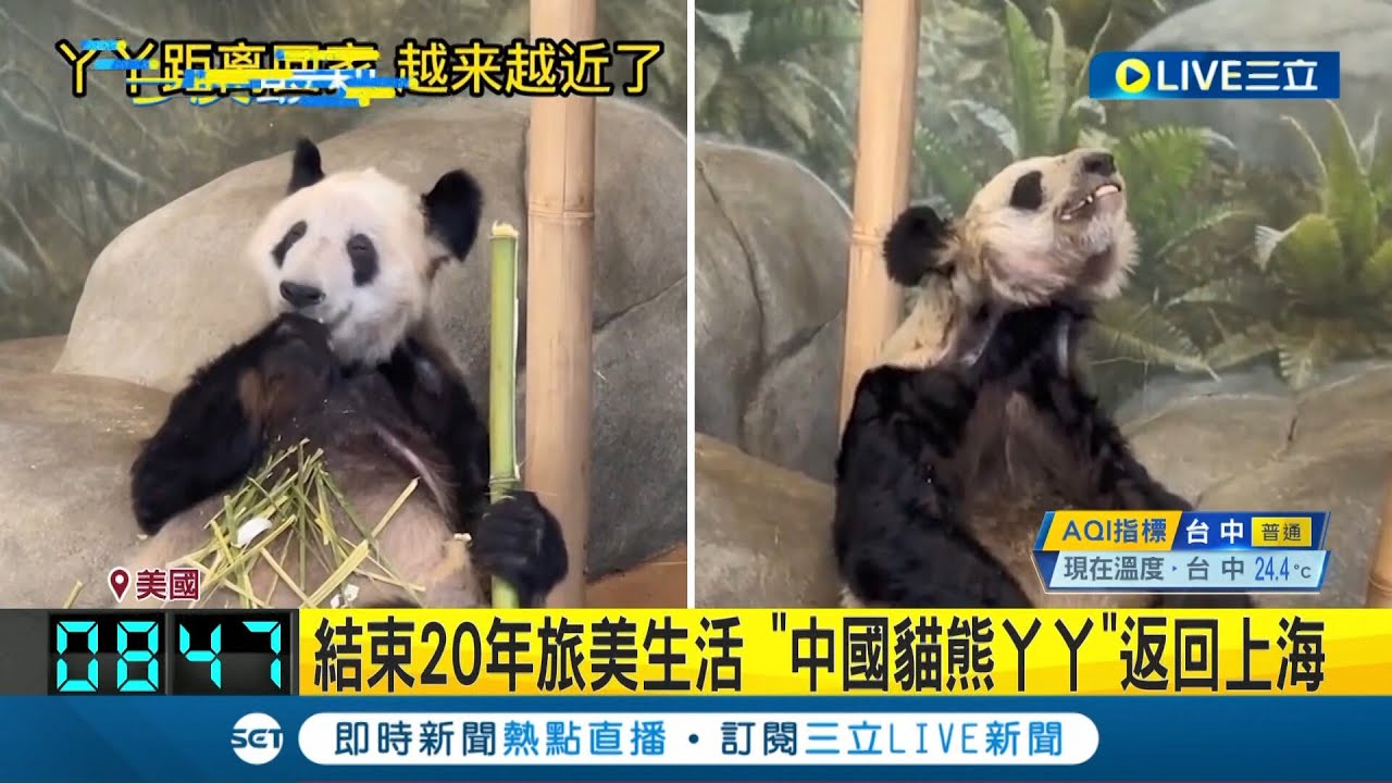 來自中國的