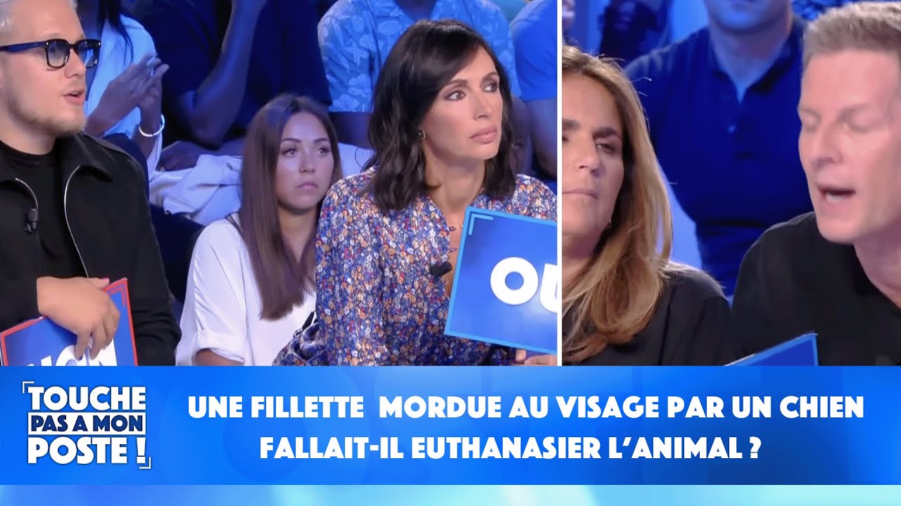 Une fillette de 18 mois mordue au visage par un chien