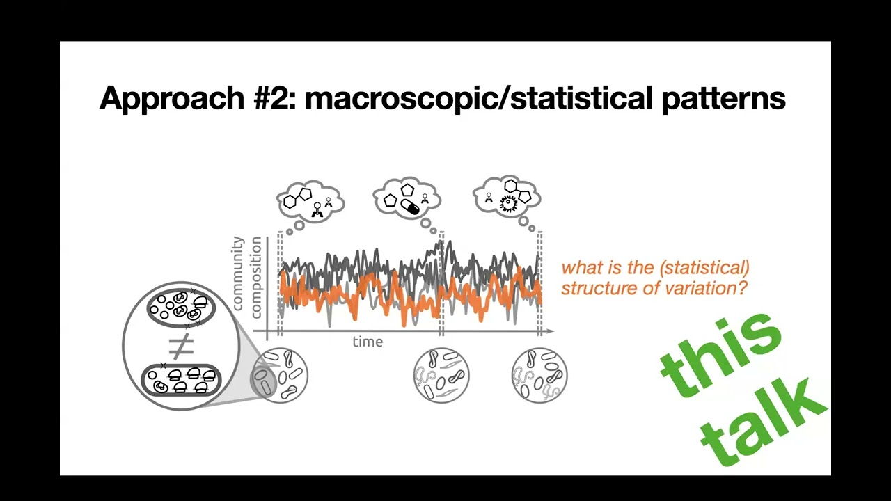 Jacopo Grilli: Microbial community dynamics in-silico, in-vitro, and in-vivo