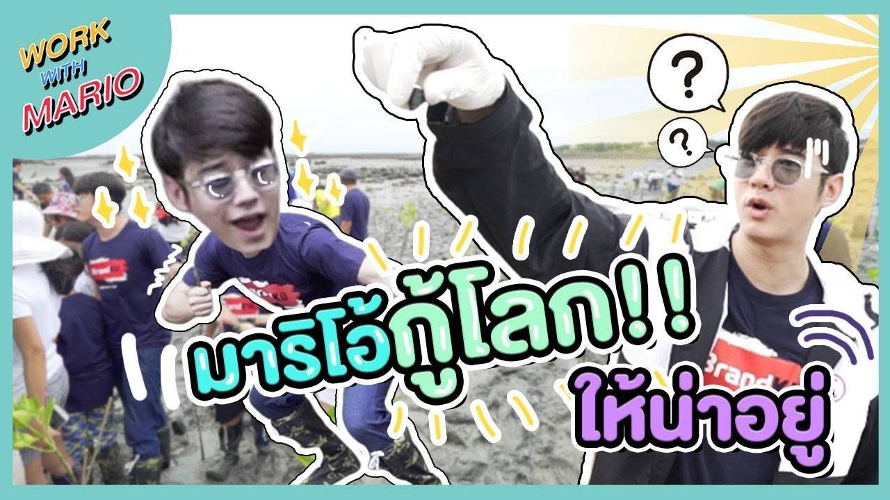 WorkWithMario | ยิ้มแฉ่งไปปลูกป่าชายเลนกัน