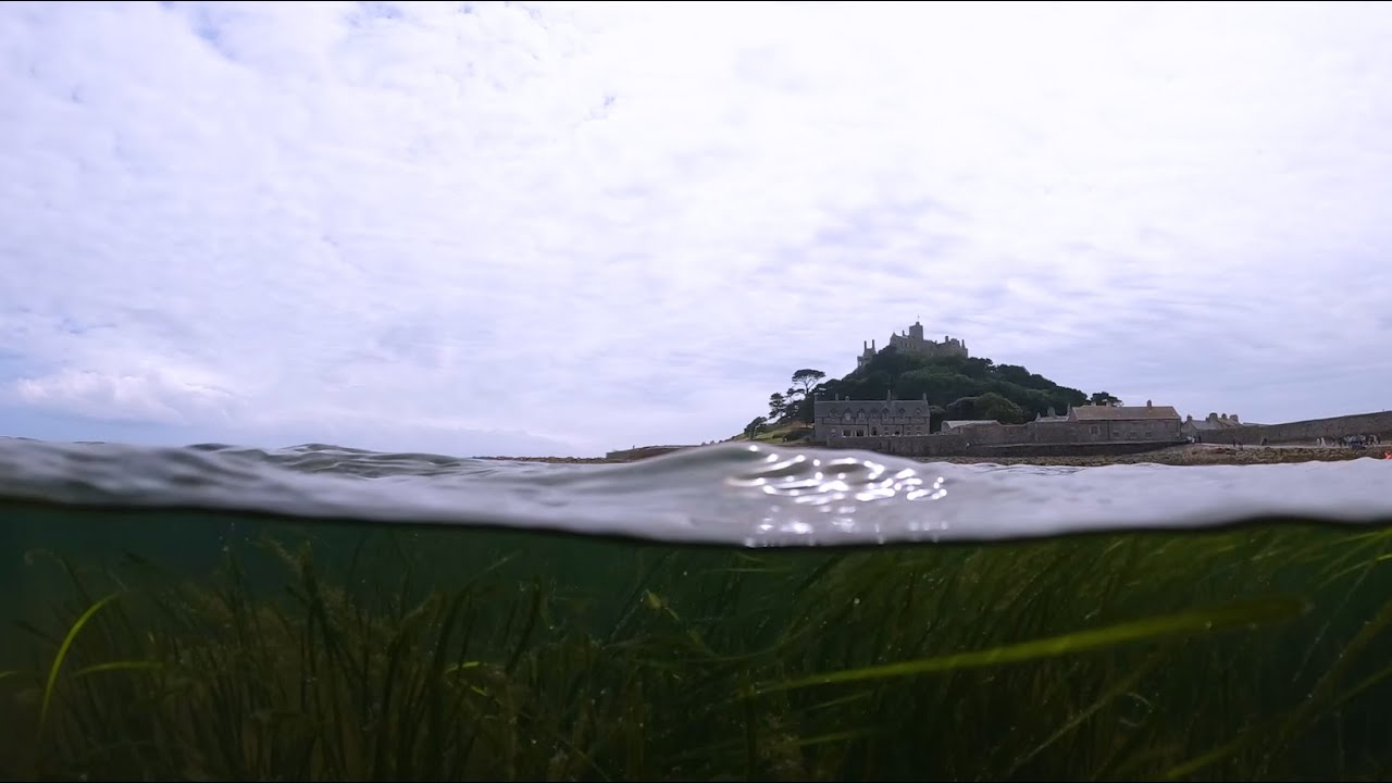 Mounts Bay Marine Group