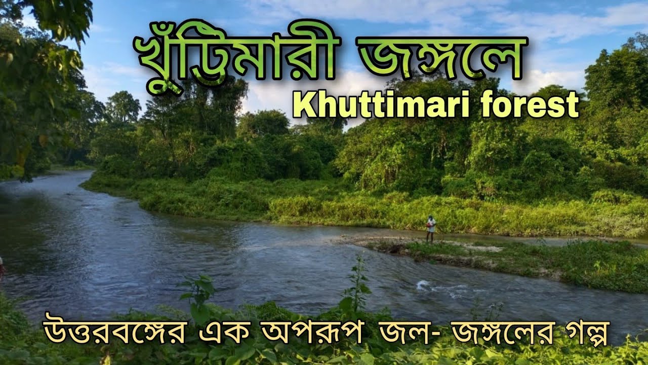 খুঁটিমারী জঙ্গলে II Khuttimari Forest II Toptours II Offbeat North Bengal II Travel