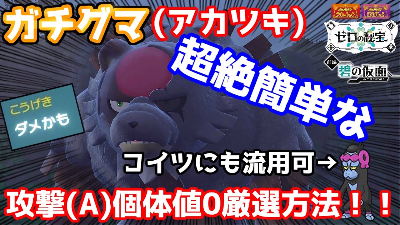 【ポケモンSV】超絶簡単なガチグマ(アカツキ)のA個体値0厳選のやり方をご紹介！！【ポケモンスカーレット バイオレット】【ゼロの秘宝】【碧の仮面 藍の円盤】