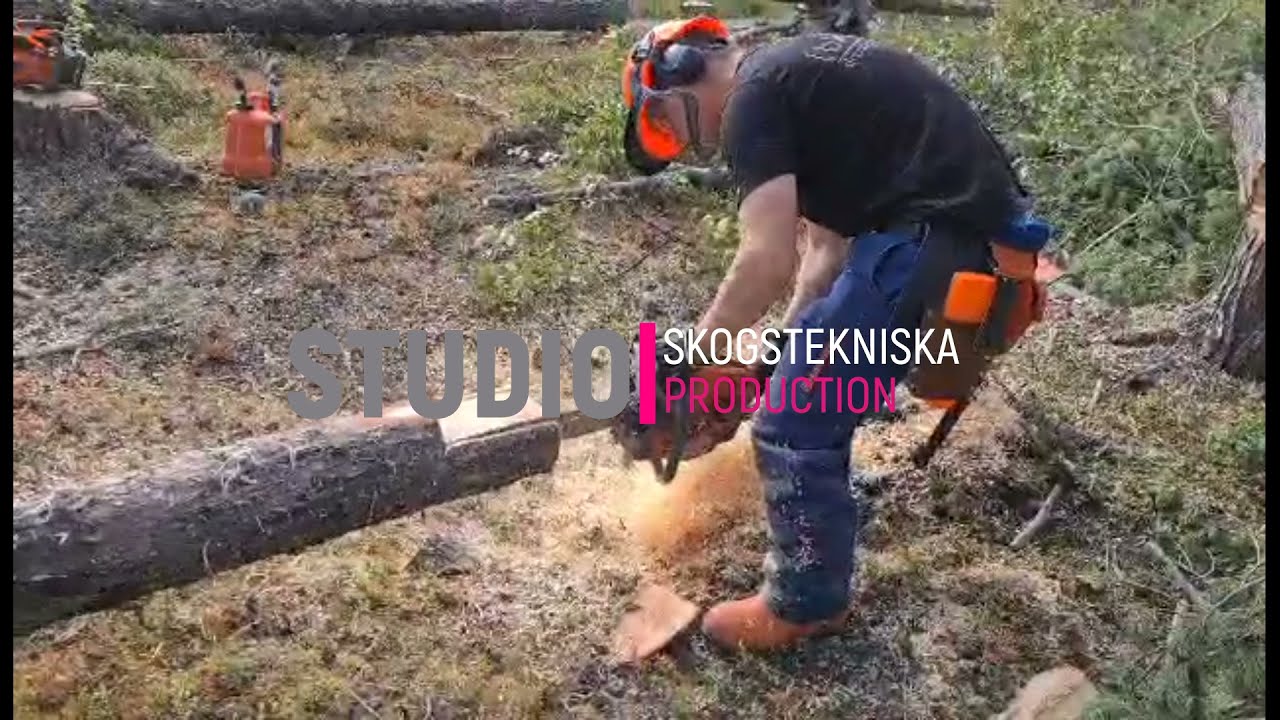 Motors&aring;gning  - Att g&ouml;ra en f&aring;gelholk