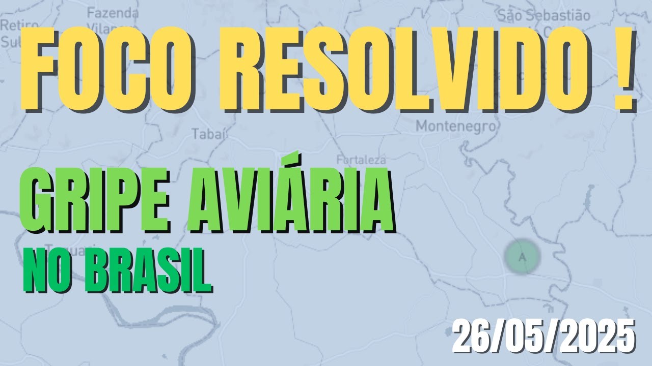 GRIPE AVIÁRIA NO BRASIL: FIM DO FOCO NO RS!!