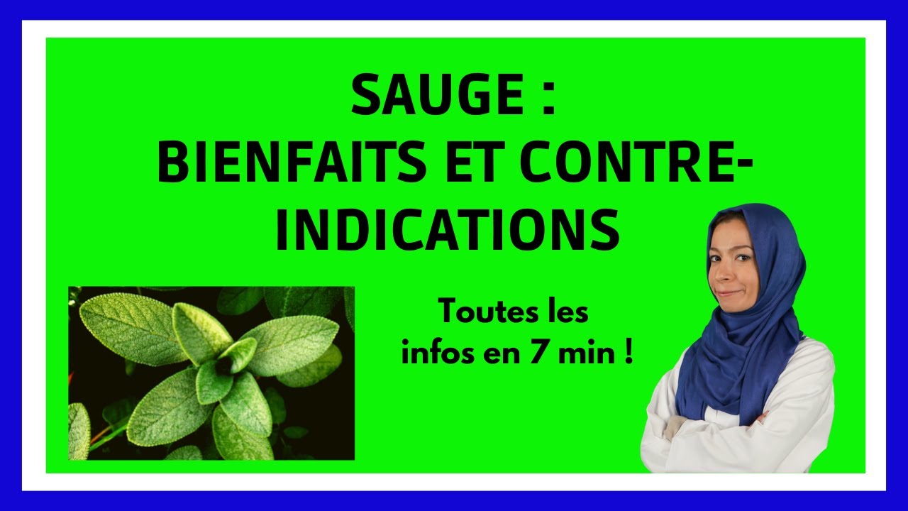 Quels sont les bienfaits de la SAUGE ? Digestion, transpiration excessive, ... Infos en 10 min
