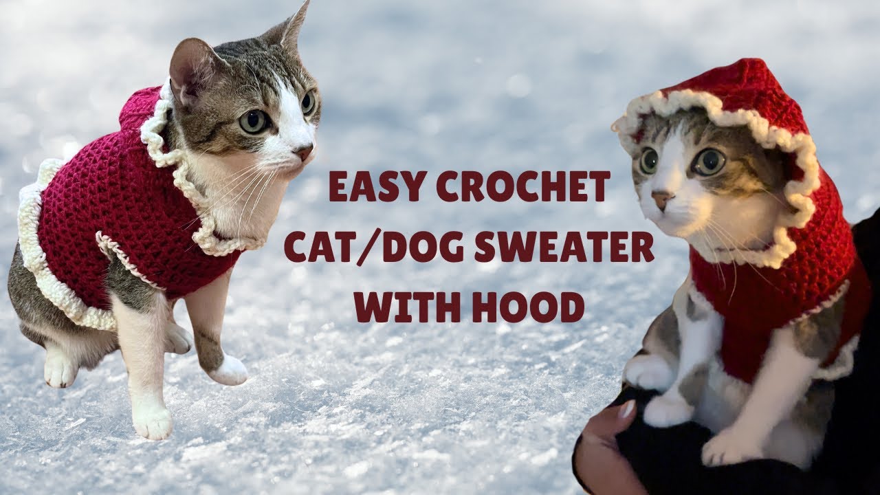 Easy Crochet Cat/Dog Sweater with Hood | Beginner Friendly!