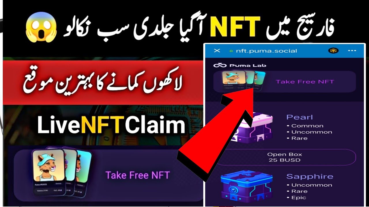 How to get free NFT in forsage forsage nft token l forsage NFT free