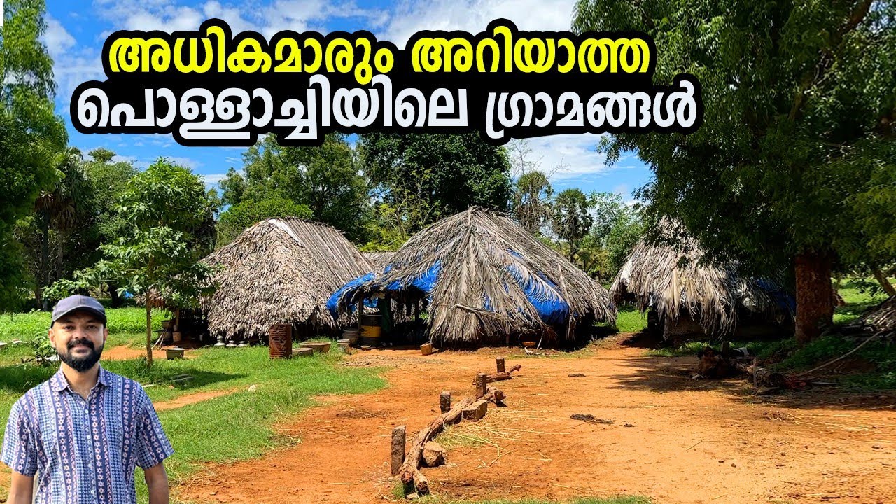 തമിഴ്നാട്ടിലെ ഗ്രാമങ്ങൾ ഇപ്പോഴും ഇങ്ങനെയാണ് | പൊള്ളാച്ചിയിലെ ഉൾ ഗ്രാമ കാഴ്ചകൾ |  Pollachi Village