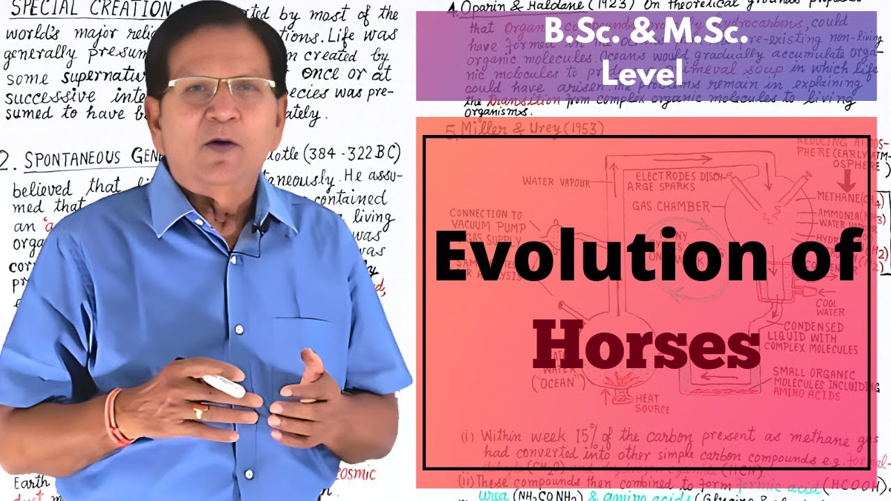 Evolution of Horses || B.Sc. & M.Sc. Level