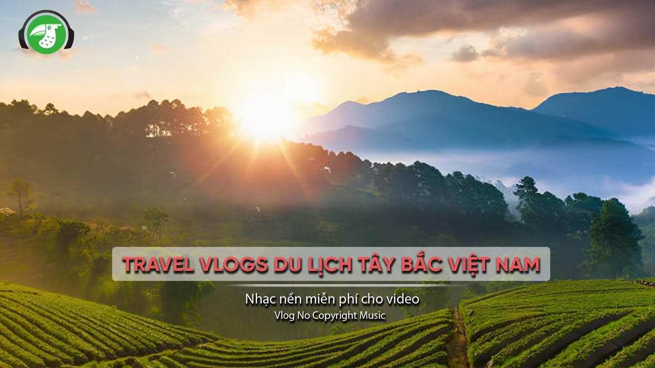 Bộ Nhạc Nền Miễn Phí Cho Video YouTube – Không Bản Quyền, Phù Hợp Mọi Chủ Đề Vlog