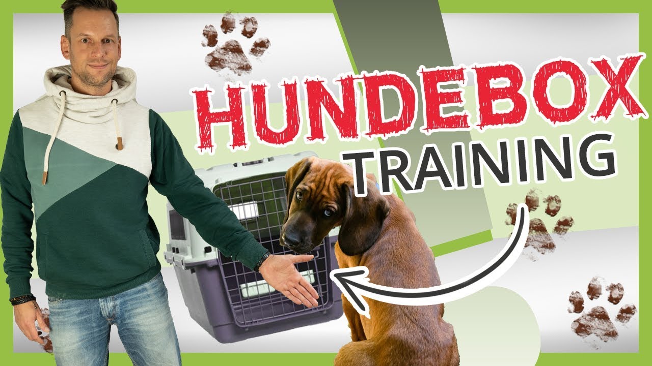 HUNDEBOX-Training: Eingew&ouml;hnung, Training und richtige Verwendung