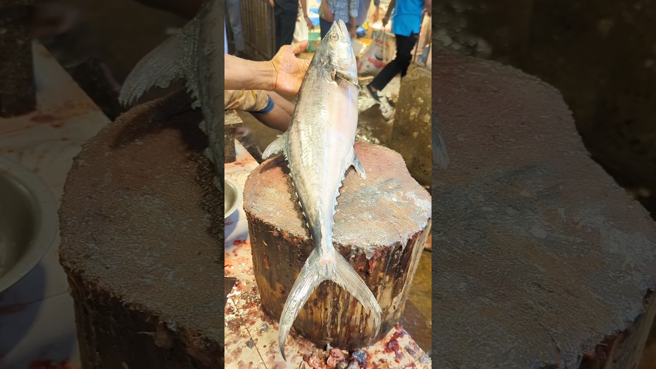 Fresh King Fish Cutting Slices #shortsXClean & Perfect