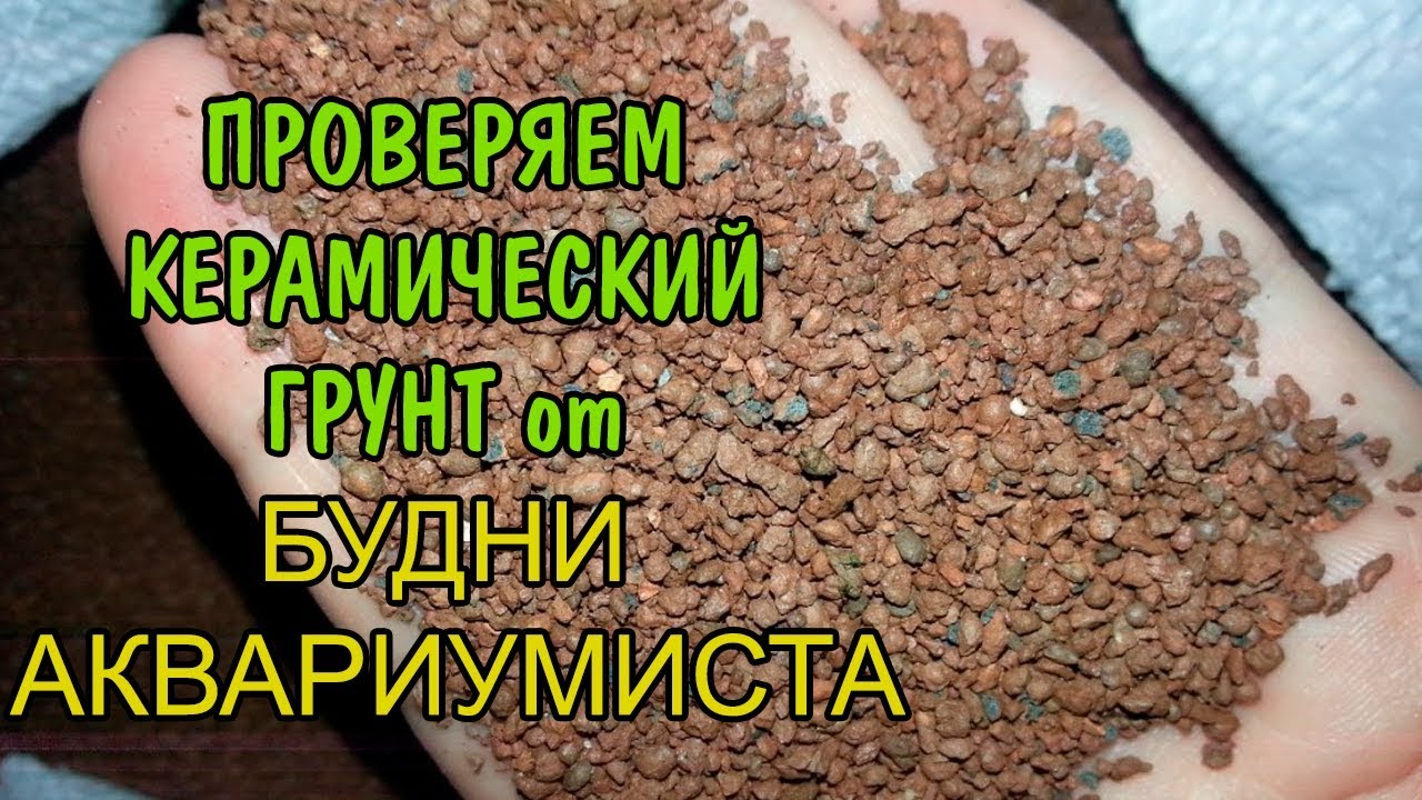 ПРОВЕРЯЕМ КЕРАМИЧЕСКИЙ ГРУНТ от БУДНИ АКВАРИУМИСТА