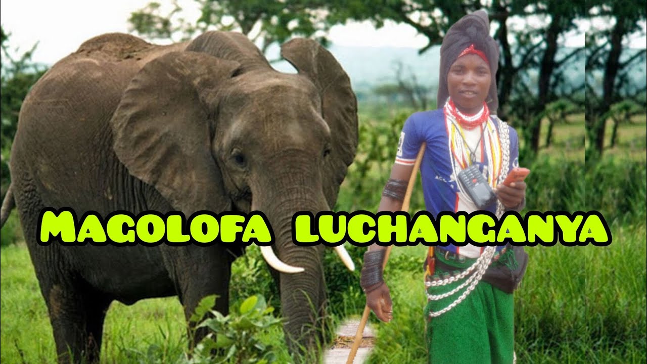 MAGOLOFA LUCHANGANYA UJUMBE WA GUNINI PRD BY N RECORDS 2025