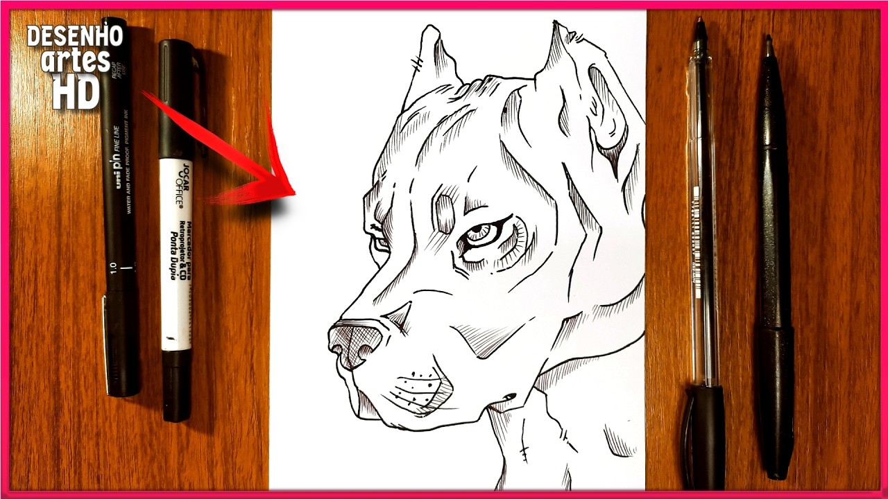 COMO DESENHAR UM CACHORRO PITBBULL ENCARADO