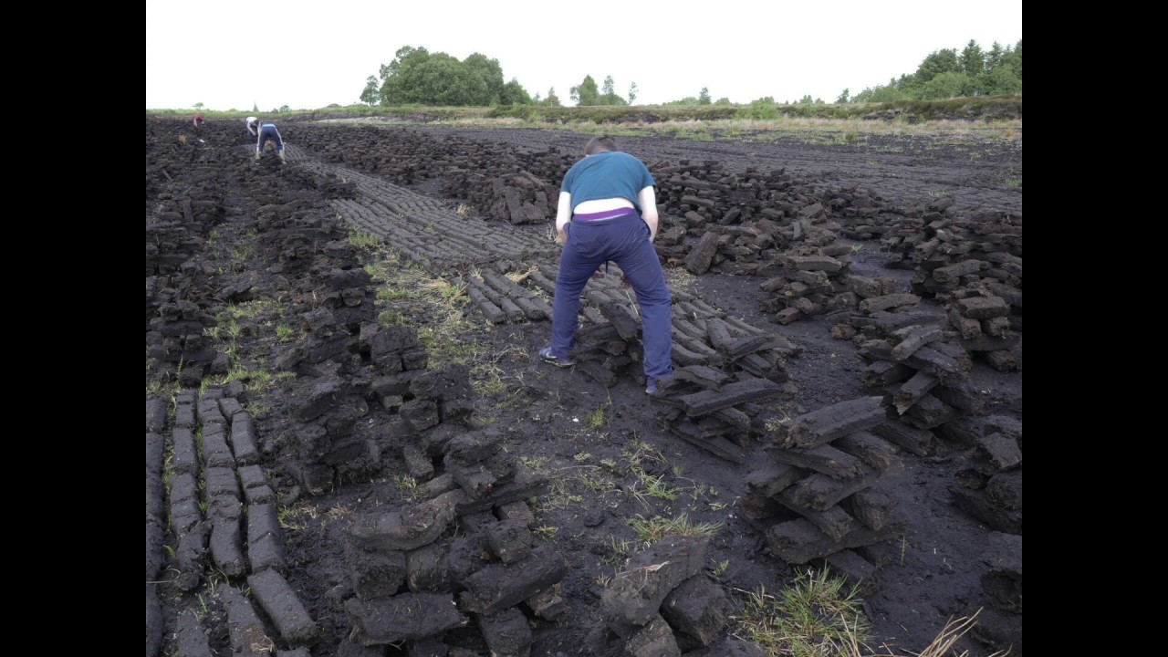 Footing Turf at Clough Bog, Gurteen, Co.Galway