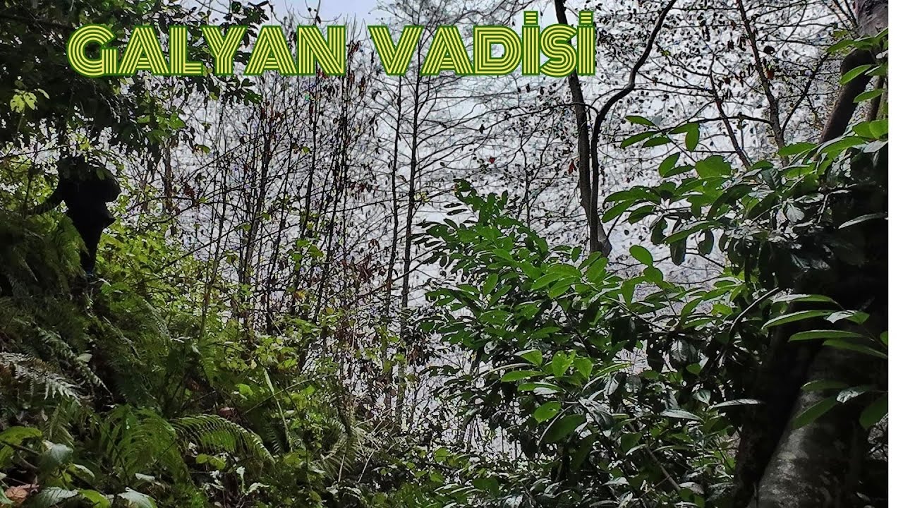 Galyan Vadisi-Maçka/TRABZON (Hiking in the eastern black sea region/TÜRKİYE)
