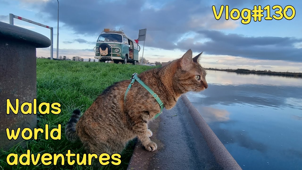 Cold cold cold 🥶 Vlog #130