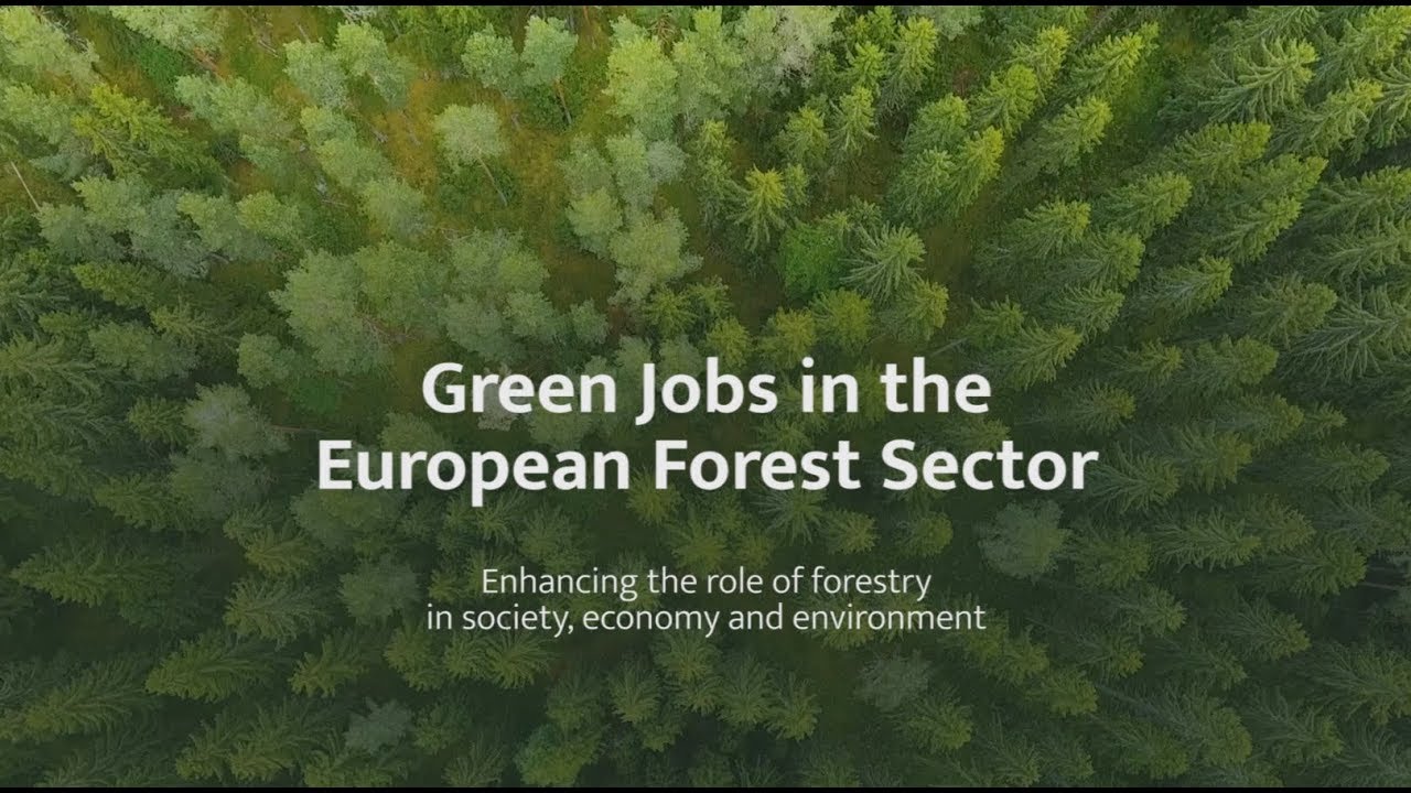 Green Jobs in the European Forest Sector