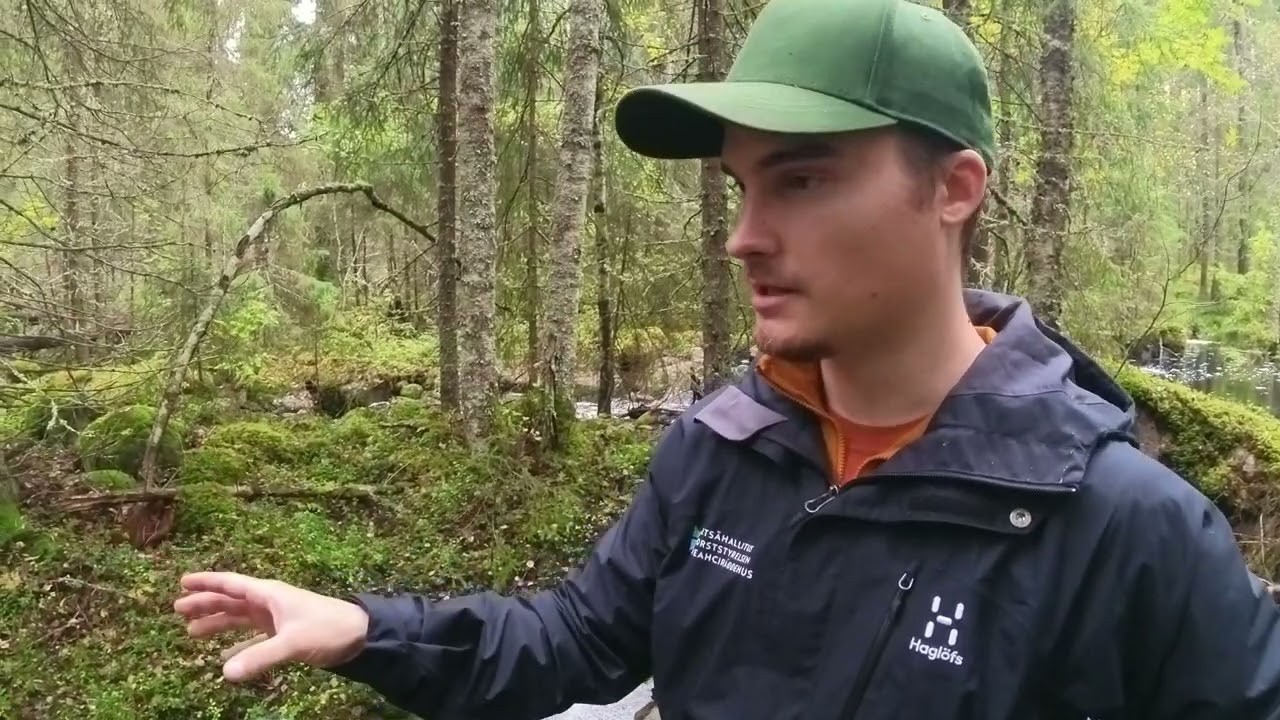 Hirvijoki: Kivien ja puiden palauttamista puroon