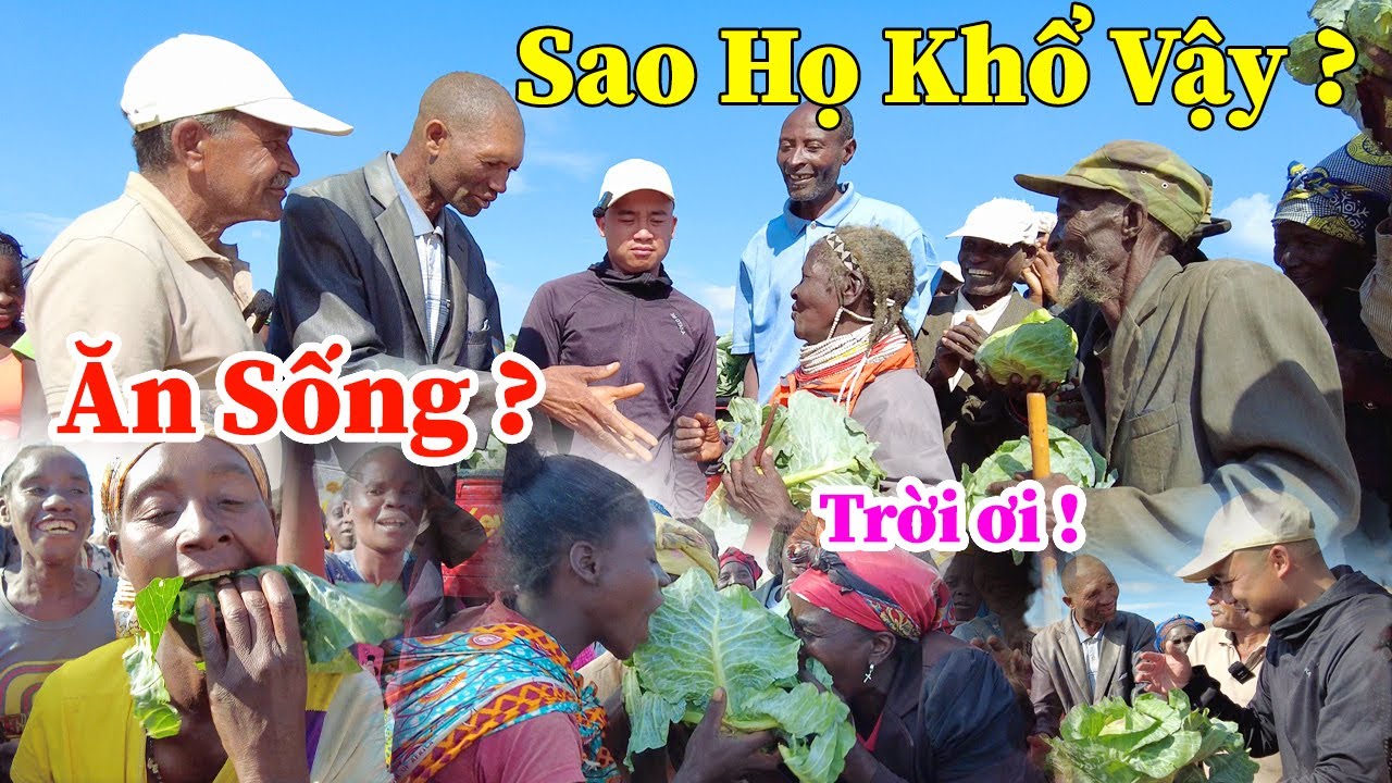 Công Giáp || Sao Khổ Như Vậy Chứ ? Tôi Sẽ Ủng Hộ Thêm ! Bác Chủ Đất Khâm Phục Người Việt Nam ???
