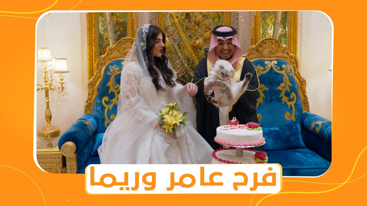 شباب البومب 11 | عامر وريما وقعوا في حب بعض وقرروا يتجوزوا