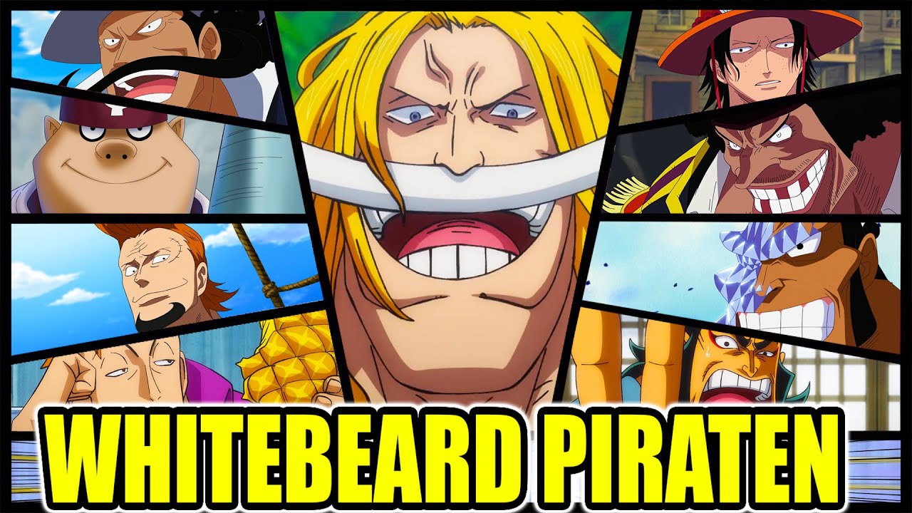 ALLE KOMMANDANTEN UND MITGLIEDER DER WHITEBEARD PIRATEN ERKLÄRT! One Piece Podcast