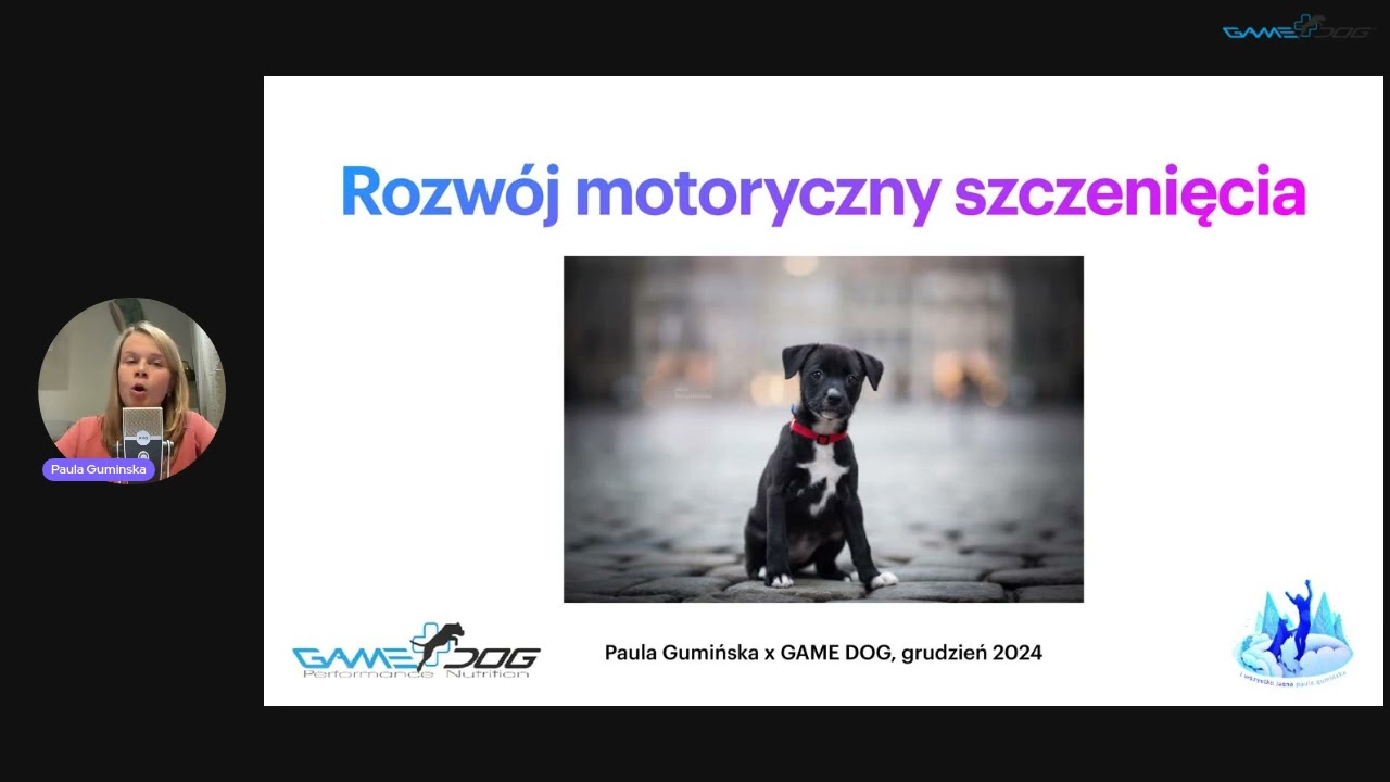 Webinar: Rozwój motoryczny szczeniąt | Game Dog x Paula Gumińska