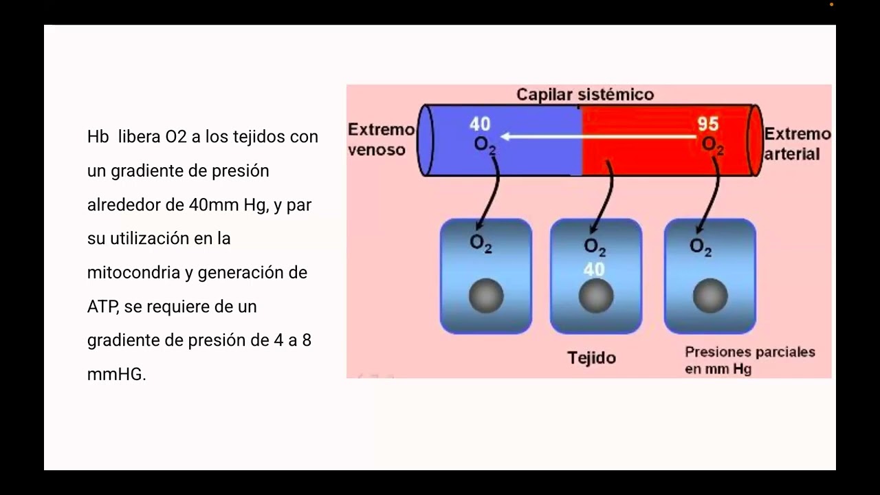 secuencia de intubación rápida y gasometría arterial