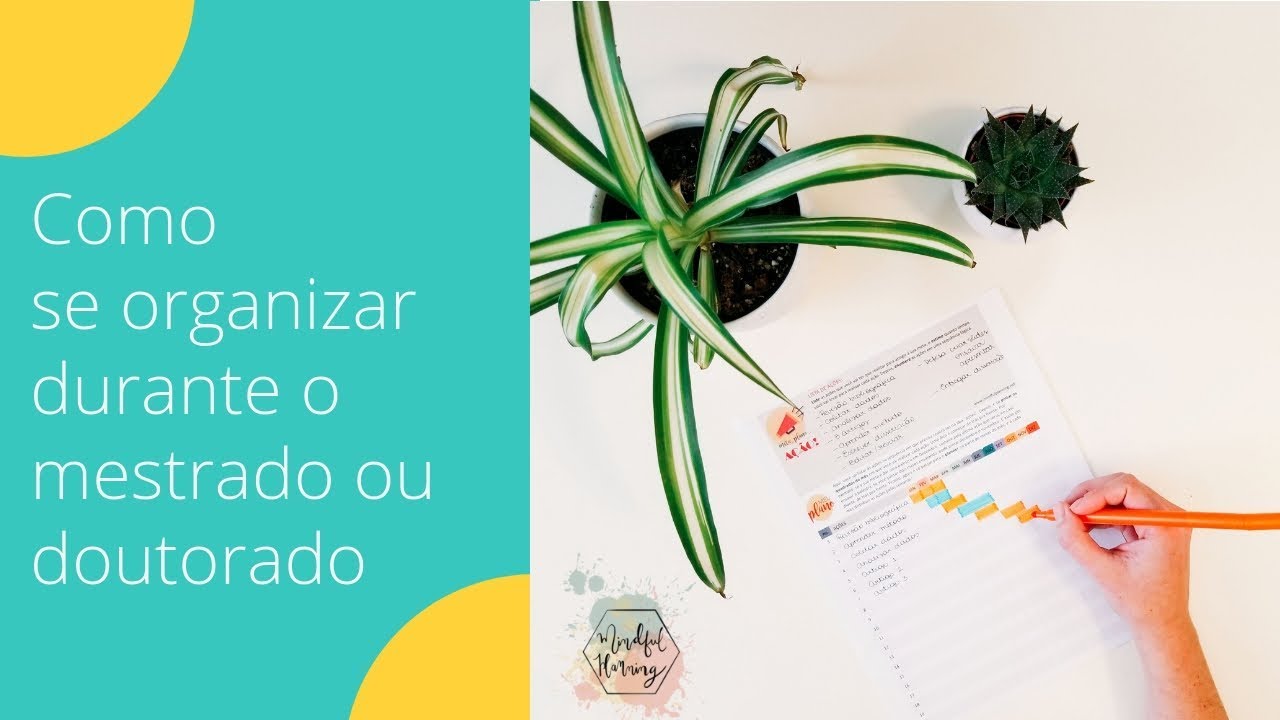 Como se organizar durante o mestrado ou doutorado!