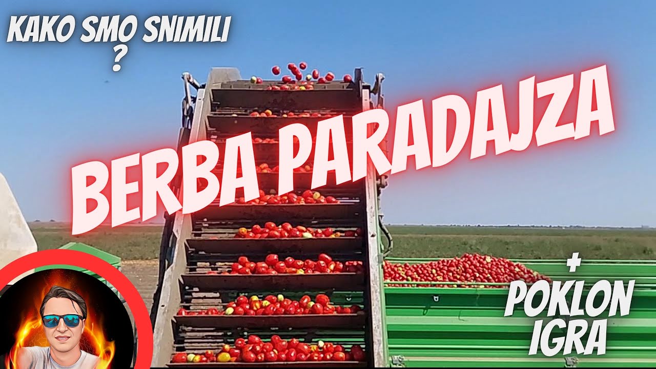 Branje paradajza - kombajn za paradajz  -- FILM -- MOVIE