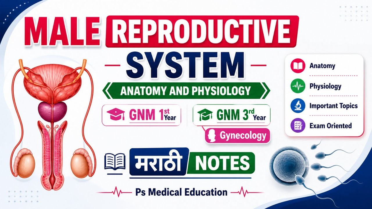 MALE REPRODUCTIVE SYSTEM | ANATOMY | GNM 1st YEAR | GNM NURSING CLASSES IN MARATHI