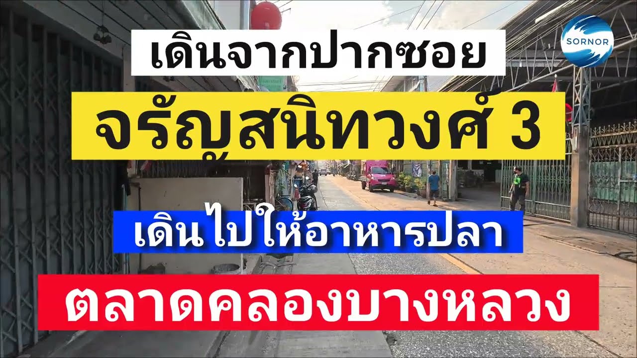  เดินจากจรัญสนิ​ท​วงศ์​ ซอย 3 เข้าไปสุดซอย ถึงตลาดคลองบางหลวง ให้อาหารแลาและกินน้ำปั่น | Sornor 