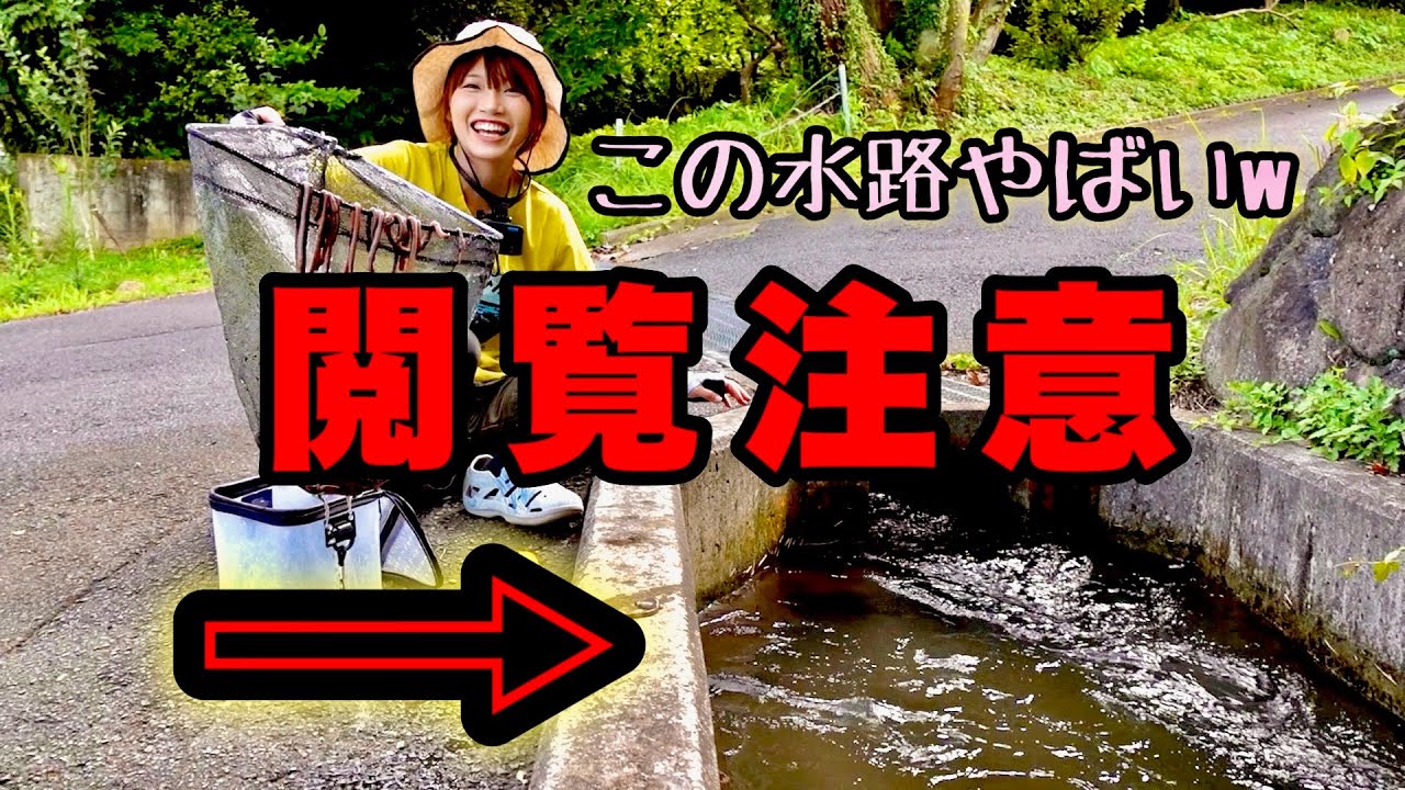 【閲覧注意】水路に潜むヤバイ生物を捕まえてブッ込み釣りしたらウナギが連発した‼️