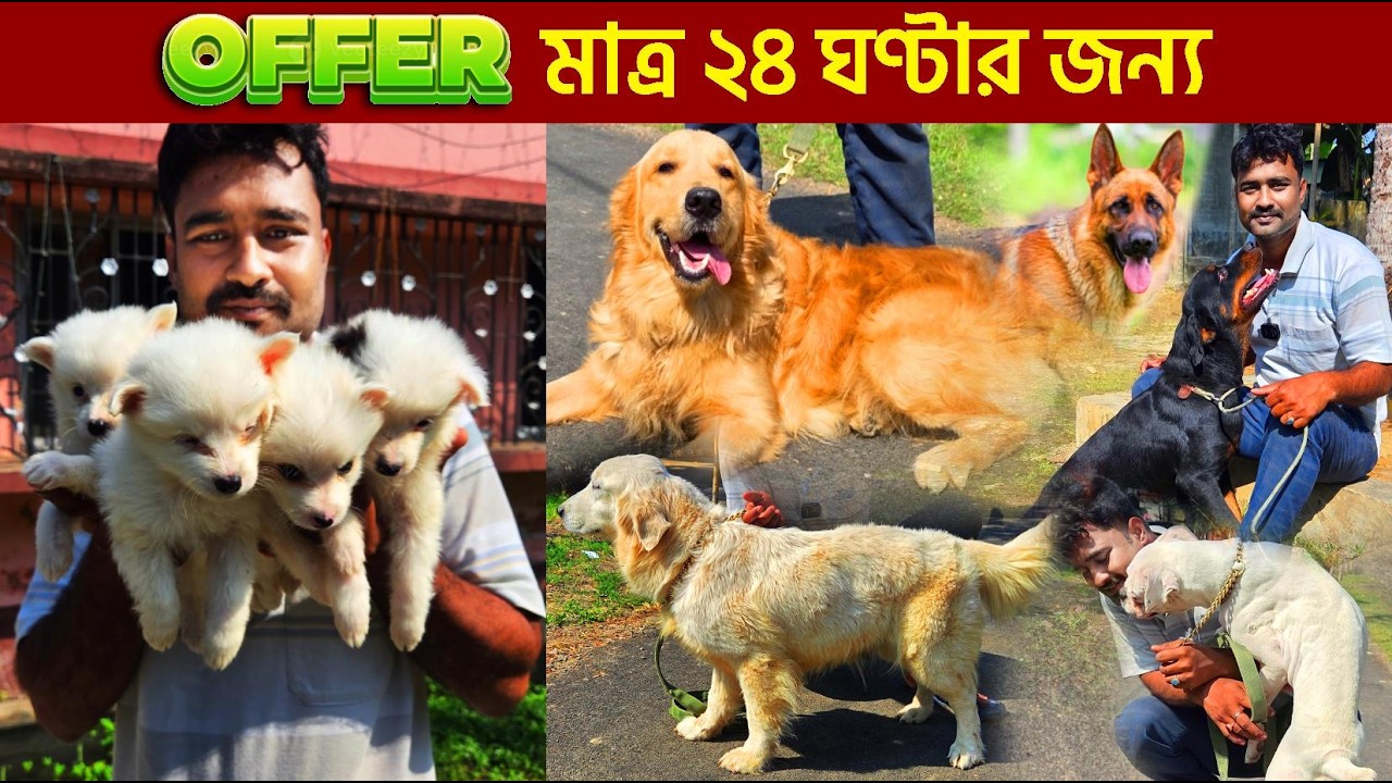 Best Dog Kennel In Kolkata | Dog Market in Kolkata | dog market kolkata | home breed dogs