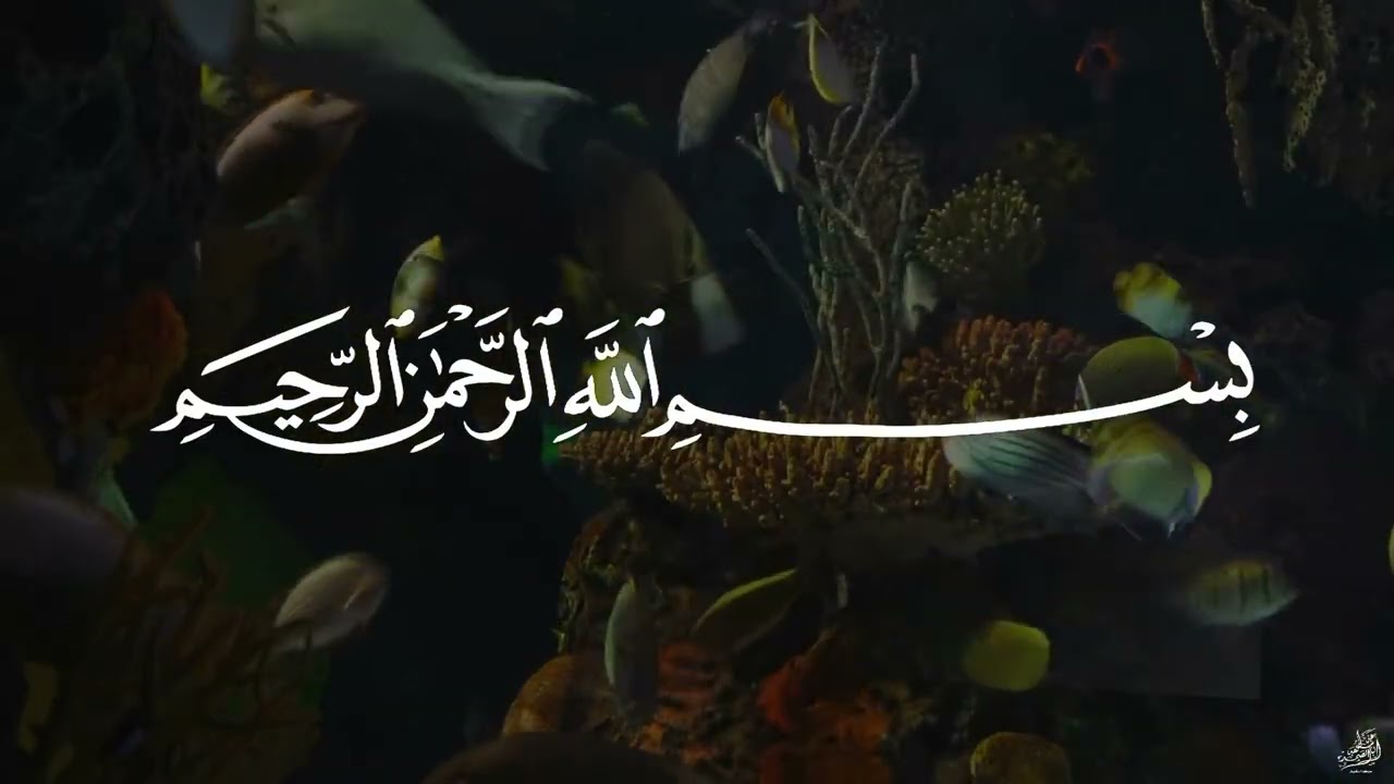 سورة يس عبدالباسط عبدالصمد  SURAH YASIN   Abdulbasit Abdussamad
