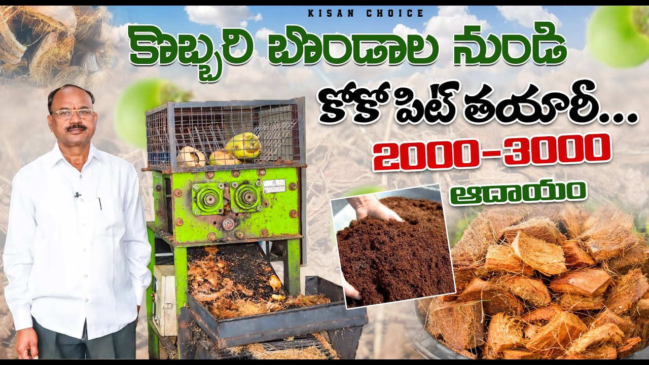 తాగి పడేసిన కొబ్బరి బొండాలతో రోజుకు టన్ను కోకో పిట్ , మంచి ఆదాయం వస్తుంది l COCONUT SHREDDER MACHINE