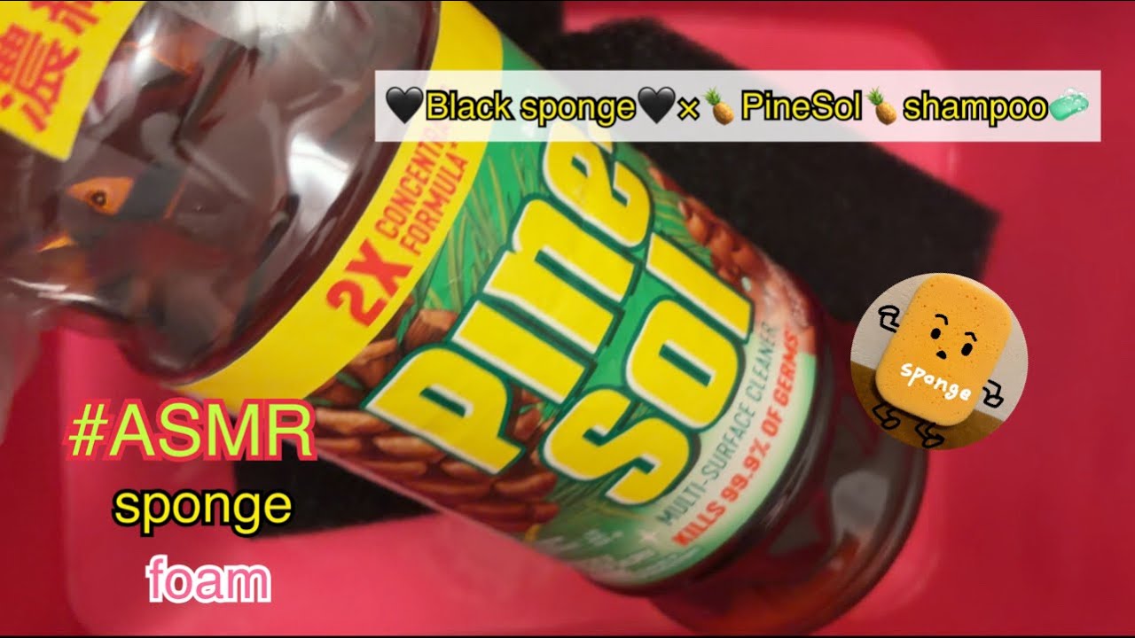 《ASMR》🖤シャカシャカスポンジ🖤と🍍パインソル🍍一瞬で泡だらけ🤍🖤Black sponge🖤＆🍍PineSol🍍shampoo🫧#asmr #sponge #foam #pinesol #音フェチ