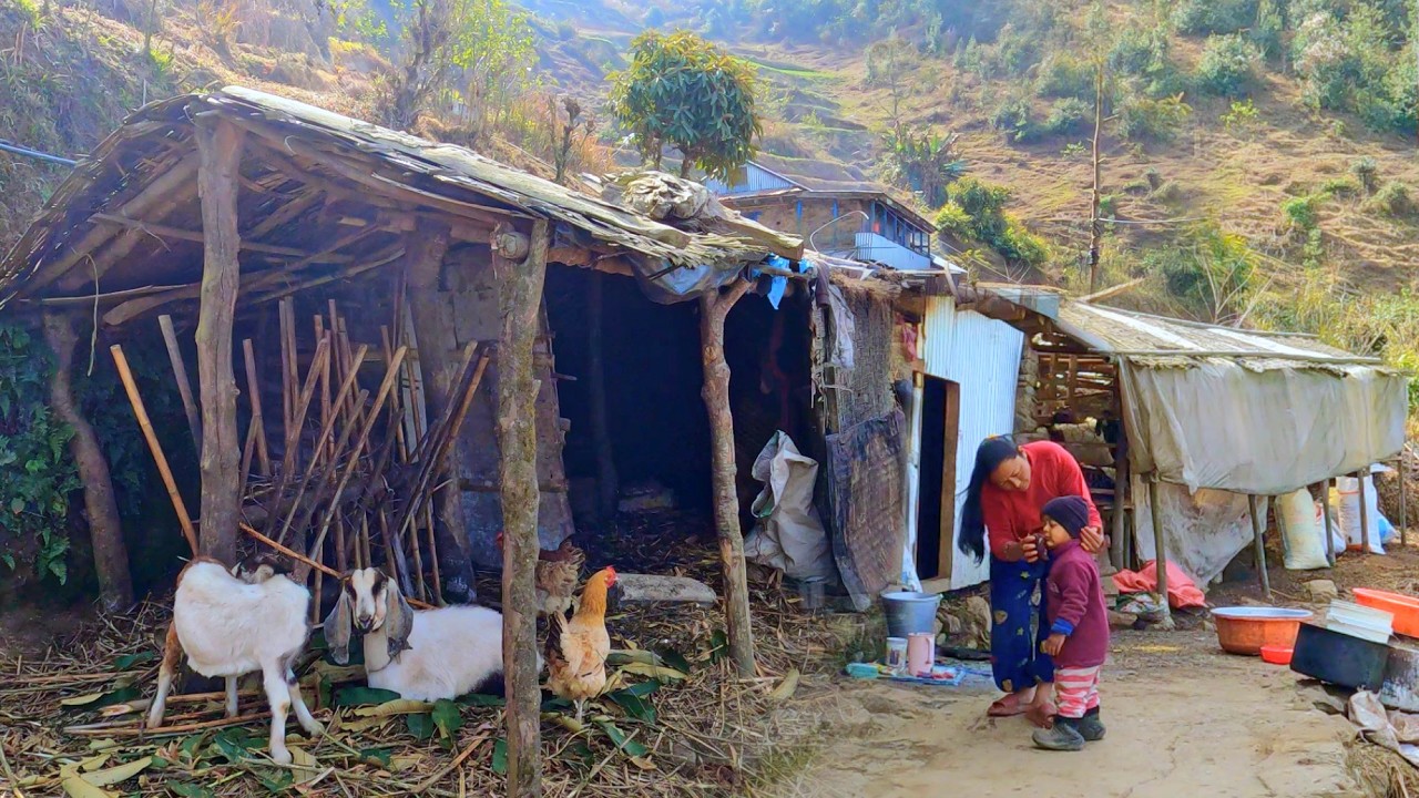 Village Life in Mountains | Ep-9 | Beautiful Simple Rural Living | Bijaya Limbu