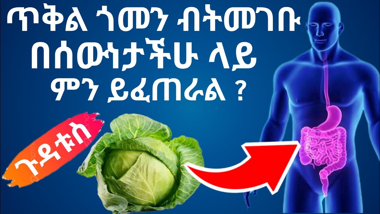 🥬 ጥቅል ጎመን ያለው ድንቅ የጤና ጥቅሞች እና ያለው የጎንዮሽ ጉዳቶች