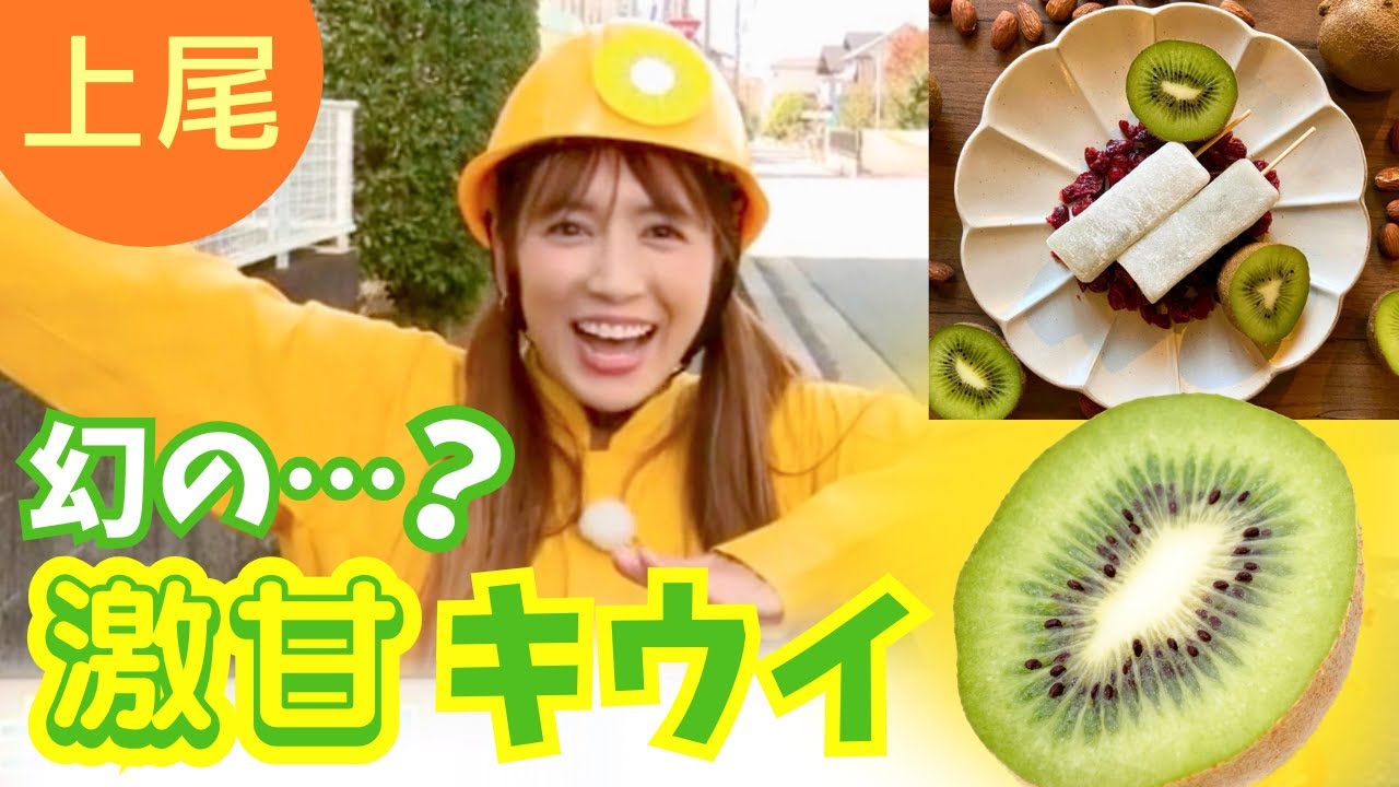 上尾のキウイの甘さの秘密とは…？才木玲佳が徹底調査！【いまドキッ！埼玉】2024.10.26放送