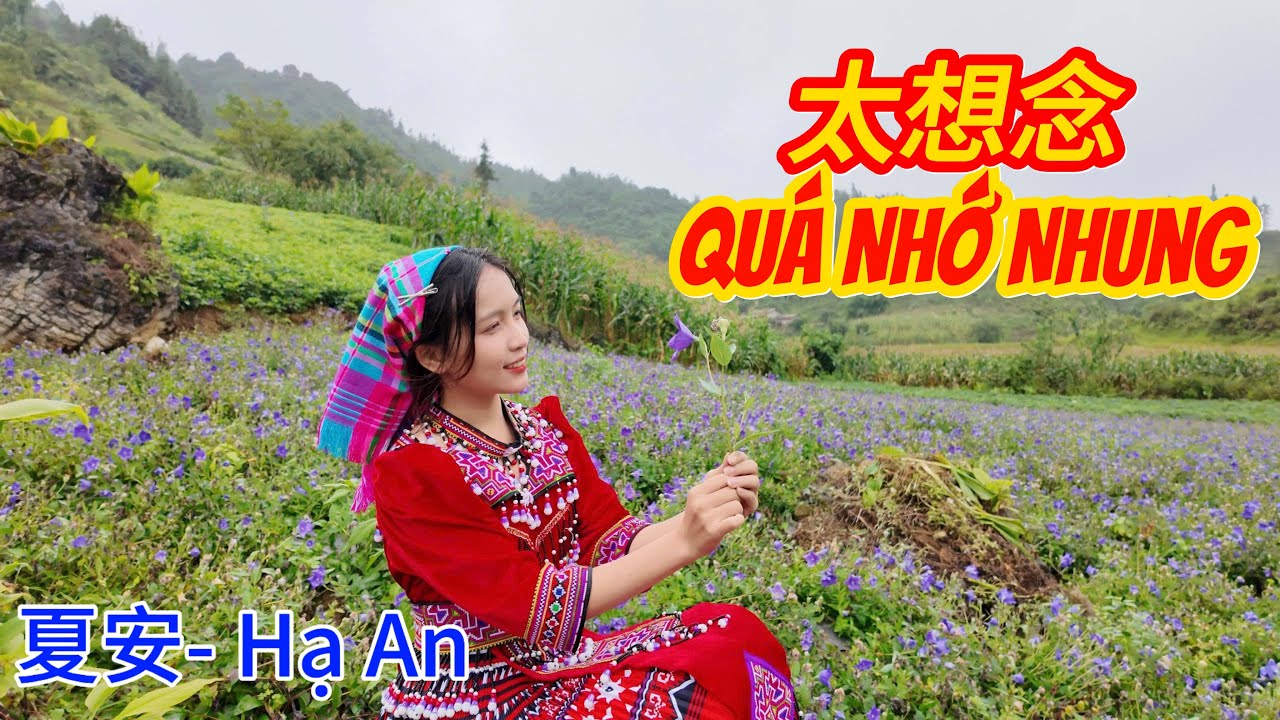 太想念- Quá Nhớ Nhung (Cover) 越南苗族团 ｜夏安-Hạ An
